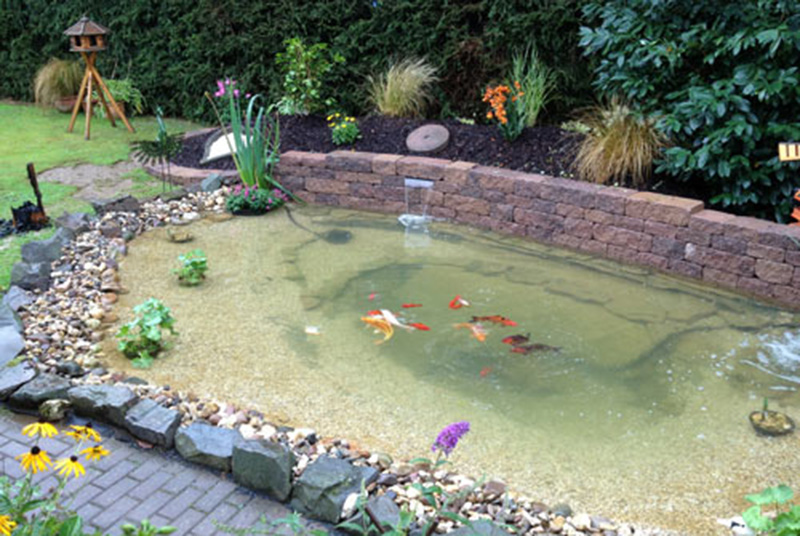 Teich im Garten mit Goldfischen