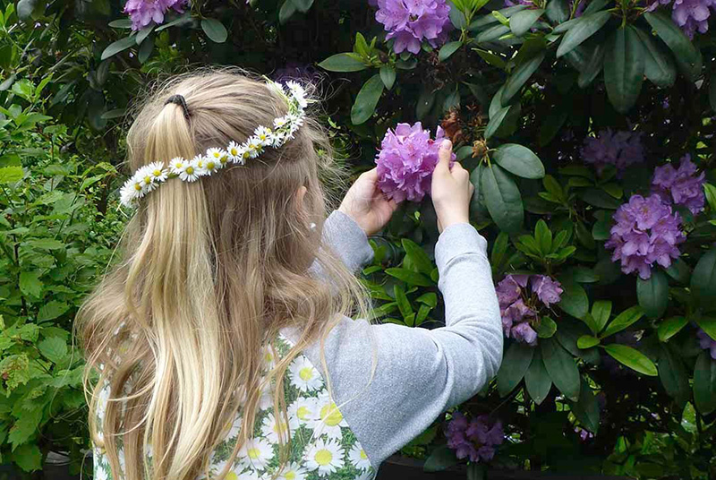Mädchen berührt die Blüten eines Rhododendron