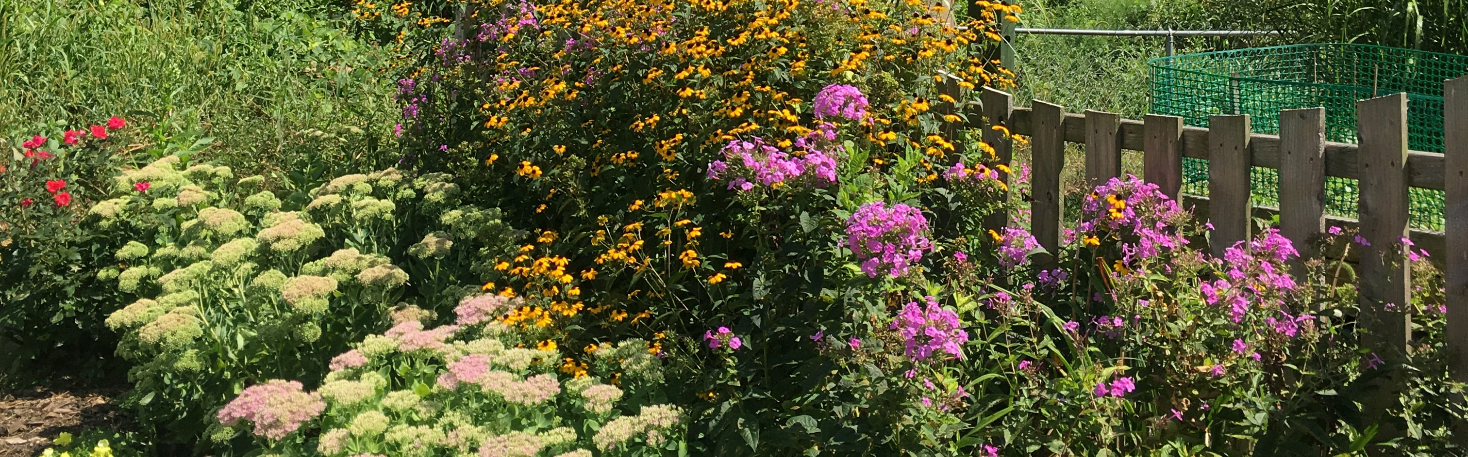 Bauerngarten